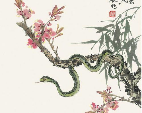 生肖蛇感情運(yùn)勢(shì)如何（生肖蛇2021年感情）