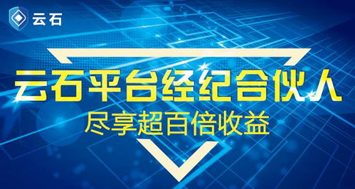 合伙人賺錢項目叫什么,合伙人賺錢項目叫什么名字