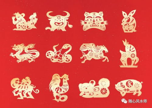 2021年屬的運(yùn)勢(shì)如何（2021年屬運(yùn)勢(shì)好生肖）