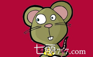 陰歷12月屬鼠運勢如何（農(nóng)歷十二月屬鼠的人怎么樣）