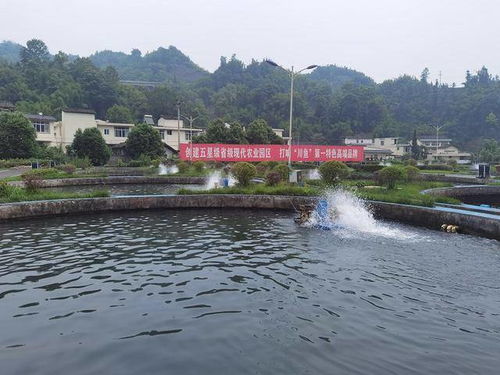 如何增值自己的運勢（怎么讓自己運勢大增）