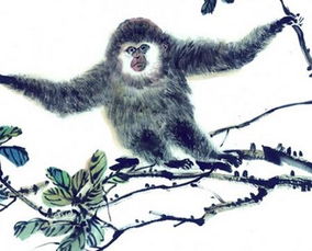 屬猴今年后半年運(yùn)勢(shì)如何（屬猴人后半年運(yùn)勢(shì)）