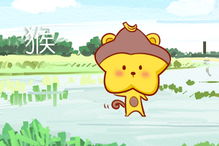 屬猴今年后半年運(yùn)勢(shì)如何（屬猴人后半年運(yùn)勢(shì)）