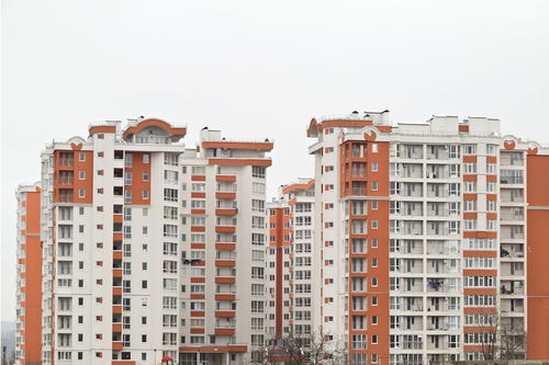 高橋房產(chǎn)怎么樣,高橋的房價是多少
