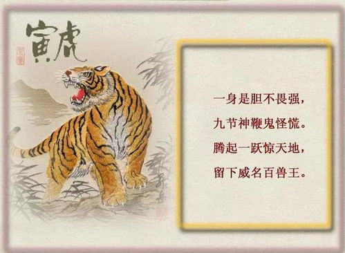 72年虎鼠今年運勢如何（72年屬虎2021年運勢及運程）