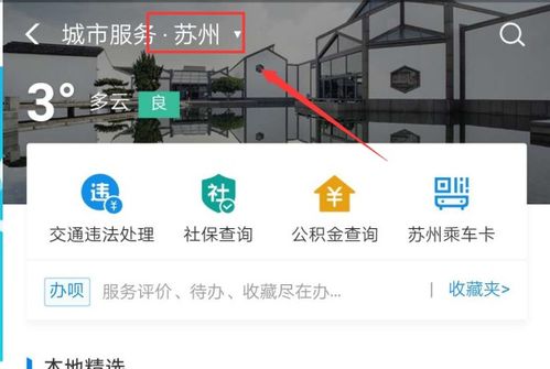 名下大量房產(chǎn)怎么查到,名下房產(chǎn)怎么查?
