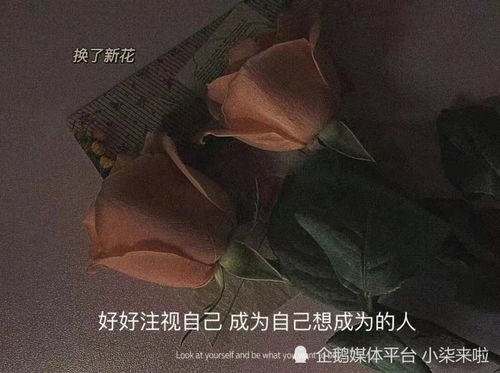 水瓶近期交友運勢如何（水瓶座最近的感情運勢）