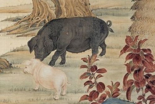 明年豬的運(yùn)勢(shì)如何（明年豬的運(yùn)勢(shì)如何看）