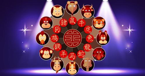生肖雞明年運(yùn)勢(shì)如何查（生肖雞明年的運(yùn)氣怎么樣）