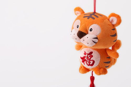 虎寶寶出生運勢如何（虎寶寶的運勢）