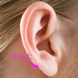 沒(méi)耳垂的運(yùn)勢(shì)如何（沒(méi)有耳垂的命運(yùn)）