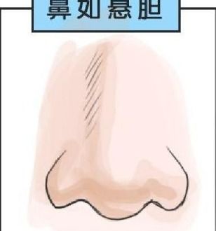 沒(méi)耳垂的運(yùn)勢(shì)如何（沒(méi)有耳垂的命運(yùn)）