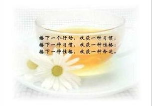 如何改變整體運勢（如何才能改變運勢）