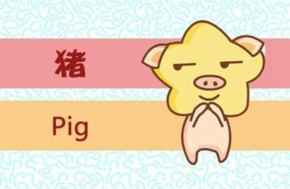 屬豬這個月運勢如何（屬豬人這個月的財運）