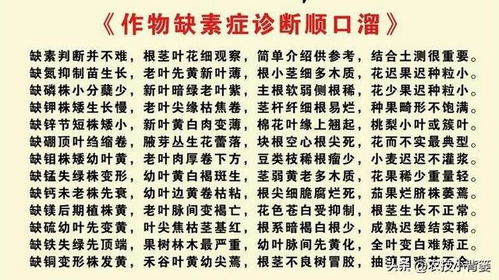 癸卯戊土運(yùn)勢如何（癸卯戊土運(yùn)勢如何看）