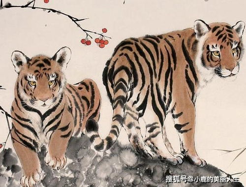 八月九月的虎運勢如何（屬虎8月9月運勢）