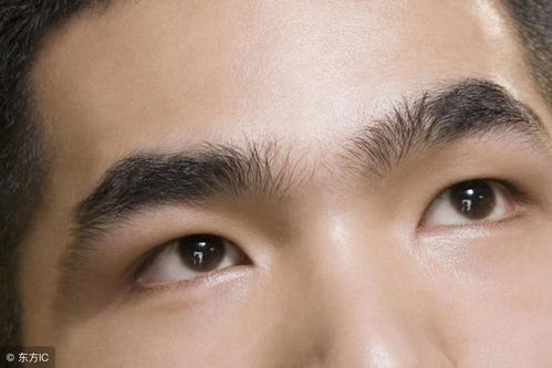 龍眉運(yùn)勢(shì)如何（龍眉的男人好不好）