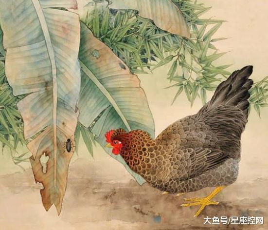 3月5日屬雞運(yùn)勢(shì)如何（3月5日生肖運(yùn)勢(shì)）