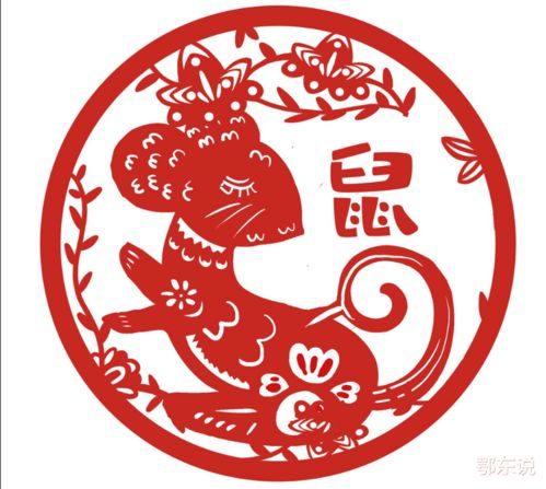 生肖鼠明日運(yùn)勢(shì)如何（屬鼠明日財(cái)運(yùn)和運(yùn)勢(shì)）