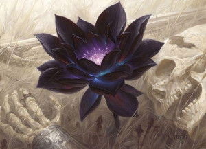 有關(guān)荷花游戲有哪些,有關(guān)荷花游戲有哪些名字