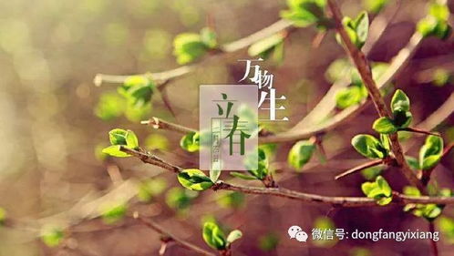 立春今日運(yùn)勢(shì)如何（今天立春運(yùn)勢(shì)）