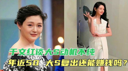 大s都做什么項目賺錢,大s靠什么掙錢