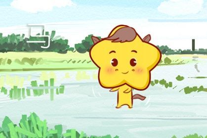 31歲的猴今年運(yùn)勢(shì)如何（屬猴31歲啥命）