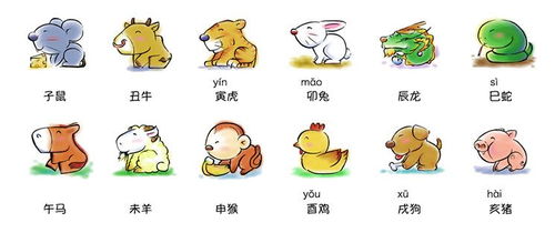 如何查詢每天屬相運(yùn)勢(shì)（每天生肖運(yùn)氣好不好怎么查）