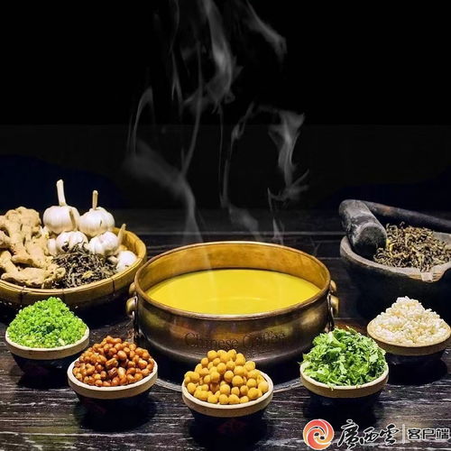 油茶互動游戲有哪些,油茶主題