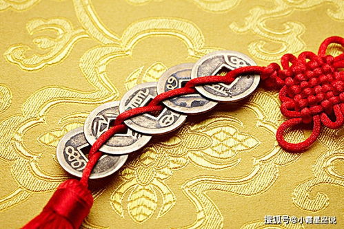 今年錦鯉運(yùn)勢如何看（今年的錦鯉）