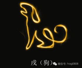 屬狗一生運(yùn)勢(shì)如何（屬狗一生運(yùn)勢(shì)如何旺財(cái)）