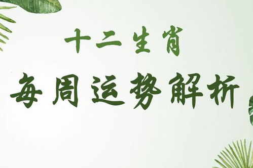 本月運(yùn)勢(shì)婚姻如何（本月運(yùn)勢(shì)婚姻如何看）