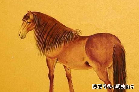 馬年事業(yè)運勢如何（屬馬人2020年事業(yè)如何）