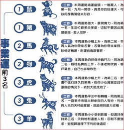 息哥生肖運(yùn)勢(shì)如何（息代表什么意思）