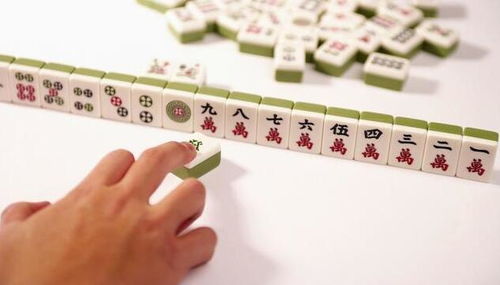 打麻將運勢如何（明天屬狗的打麻將運勢如何）