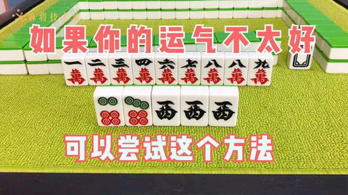 打麻將運勢如何（明天屬狗的打麻將運勢如何）