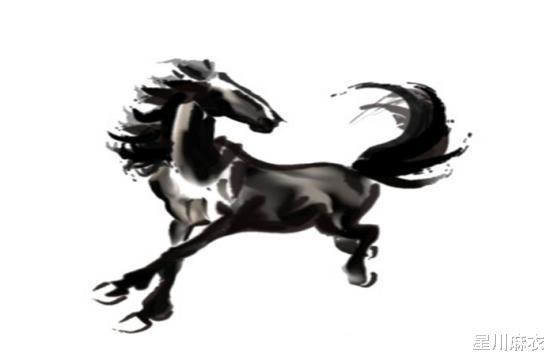 生肖馬下半月的運(yùn)勢(shì)如何（屬馬下半年每月運(yùn)勢(shì)）