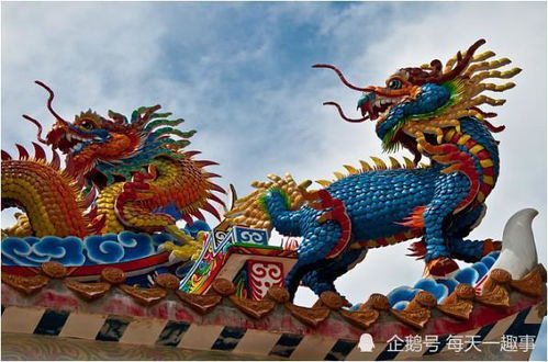 屬龍人虎年生肖運(yùn)勢如何（屬龍的人虎年運(yùn)氣）