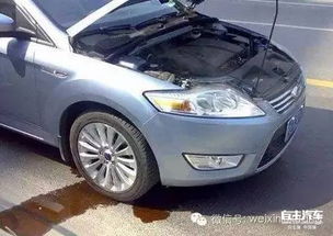 汽車氣溫多少可以加水箱,汽車氣溫多少可以加水箱油 汽車氣溫多少可以加水箱,汽車氣溫多少可以加水箱油