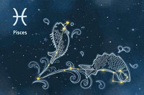 什么星座錯(cuò)了,什么星座最錯(cuò)落 什么星座錯(cuò)了,什么星座最錯(cuò)落