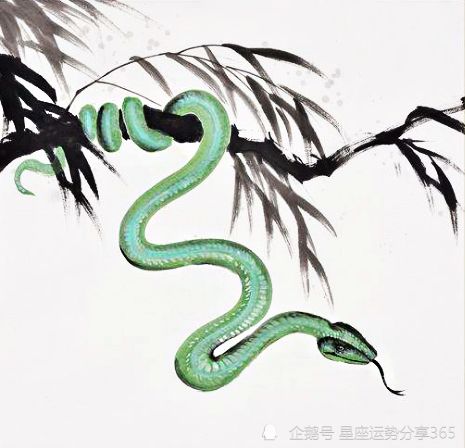 屬蛇運(yùn)勢如何2021（屬蛇運(yùn)氣如何2021）