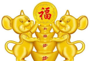 如何增加星運的運勢（如何增加星運的運勢和財運）