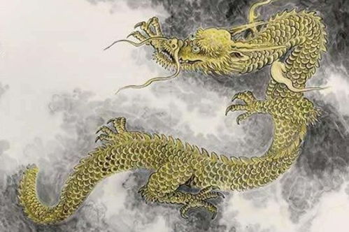 屬龍的出生月運(yùn)勢如何（屬龍逐月出生運(yùn)勢）