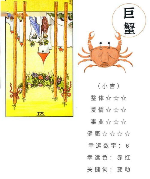 天蝎女1月9日運勢如何（天蝎女1月9日運勢如何呢）