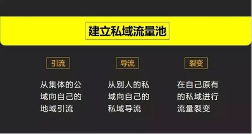 做什么項(xiàng)目賺錢最靠譜,做什么項(xiàng)目好