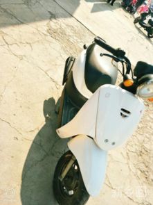 小烏龜汽車多少錢