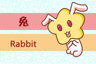 生肖兔整體運(yùn)勢(shì)如何（生肖兔的運(yùn)勢(shì)如何）