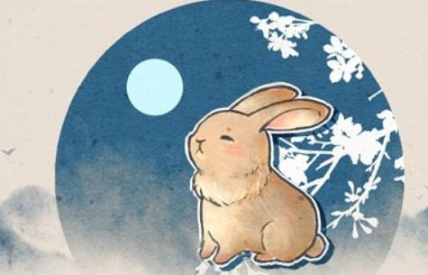我今年一年的運(yùn)勢如何（今年一年的運(yùn)氣都不好）