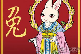 今日卯兔運(yùn)勢(shì)如何（兔今日運(yùn)勢(shì)星座運(yùn)勢(shì)）
