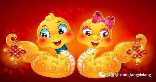 金蛇年的人運(yùn)勢如何（金蛇年是哪一年）